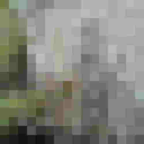 Natursteinmauer aus grauen, rechteckigen Steinplatten im Garten, mit Pflanzen im Vordergrund